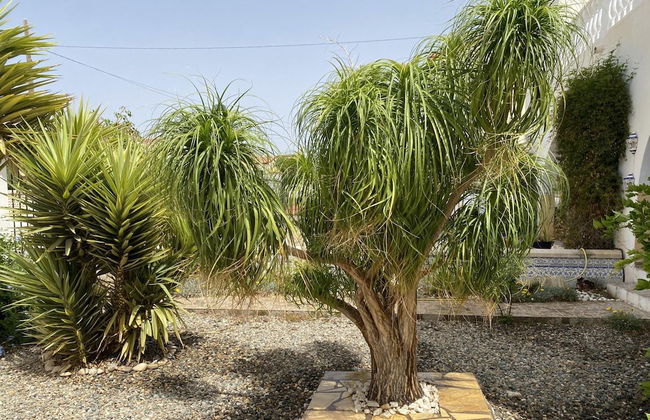 Luxury Beachfront Villa in La Perla - Photo 25