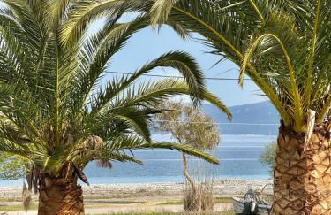 Apolonio Pefki Evia - Foto 34