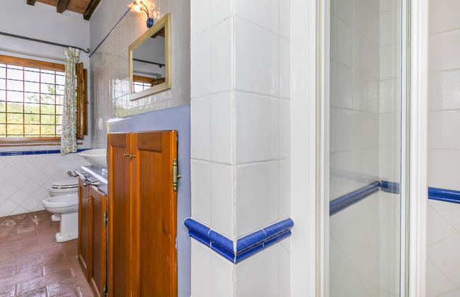 Francigena - Foto 28