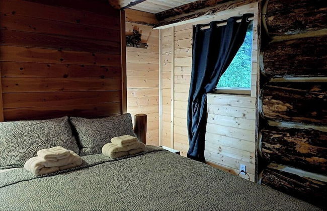 Rustic Beaverfoot Lodge Dream Cabin - Photo 4