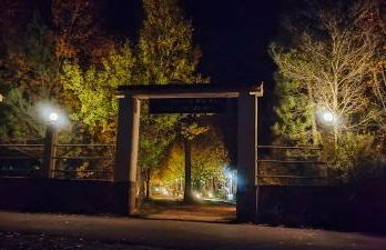 CASAS RURALES Vado del Rio Tus - Foto 40