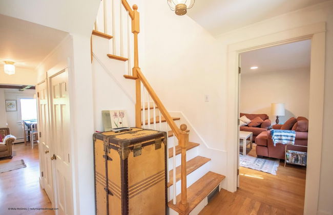 Puffin Rock - New 2022! - Photo 13