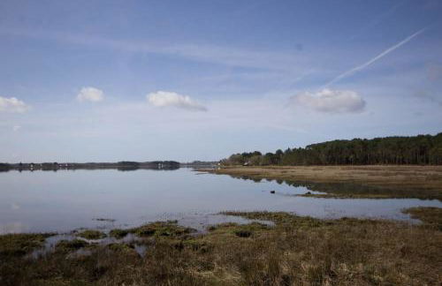 2 route de l'huitre - Foto 24