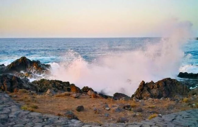 Finca El Castillo - Foto 51