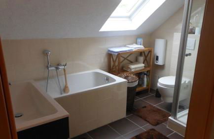 Holiday Home Weingut Mertes - Foto 23