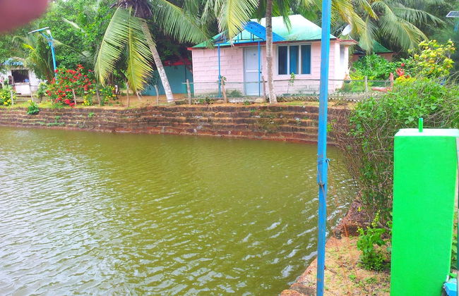 Daaven's Island Resort - Photo 14