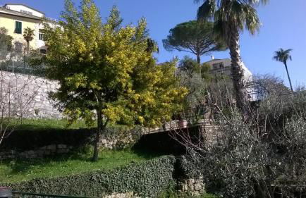 Host alla Millenaria - Foto 34