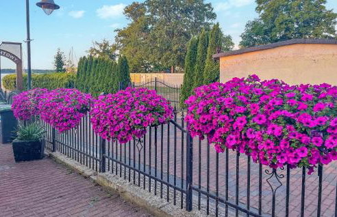 Awesome Apartment In Nowe Warpno - Foto 15