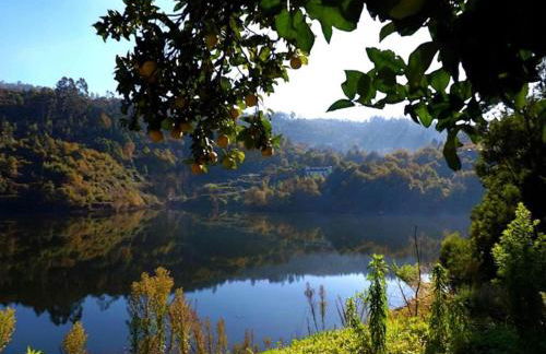 Forest Hideaway Near Douro Valley - Foto 51