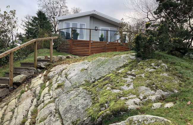 Clouded Yellow - Beautiful Modern Lodge, Kippford - Photo 1