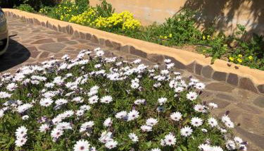 CASA JOLANDA - Photo 3, Garden view