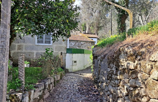 Charming 2-bed Cottage in Santa Marinha do Zezere - Photo 15