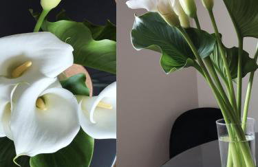 STUDIO APARTMAN MARKo C self-check in,frre parking - Foto 18