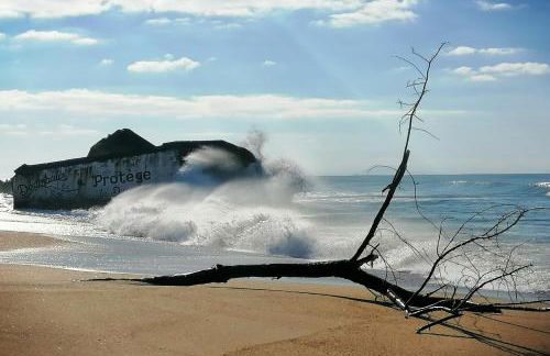 Le grand Houx - Foto 64
