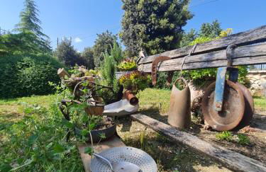 AgriBio Villa Ribes - Photo 43