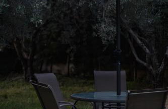 Diame Suite - Photo 24