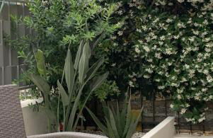 Gilda’s Home - Foto 33