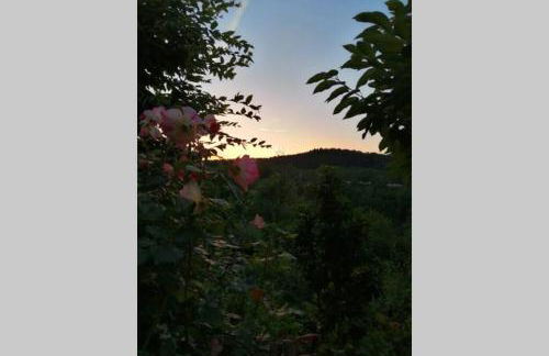 Nachhaltiges Wohnen in Seenähe - Foto 13