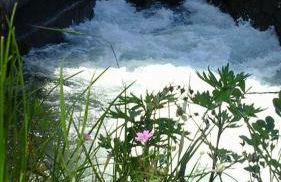 Agriturismo Helianthus - Foto 14