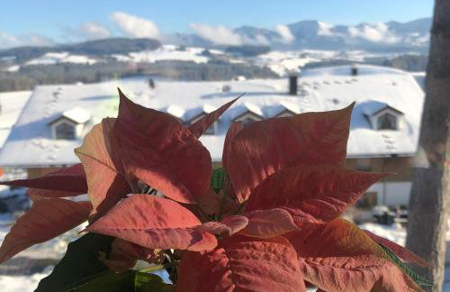 Appart am Hang mit Alpenblick - Foto 6