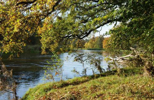 Pałac i Folwark Brzeźnica - Foto 63