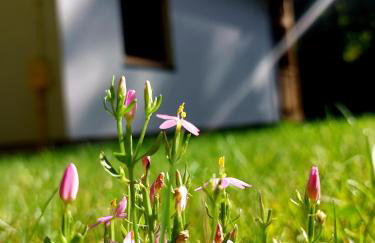 Domki Zew Natury - Foto 11