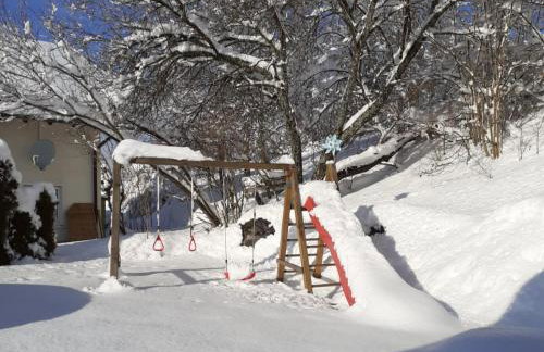 Mayntz' Albjuwel - Foto 6