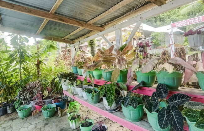 OYO Homes 91148 Homesstay Desa Wisata Bahoi Near Ekowisata Mangrove Desa Bahoi - Photo 24