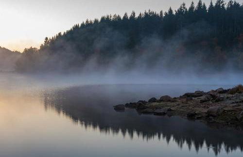 Ferienwohnung "Mettmatalblick" mit privater Sauna, Ühlingen-Birkendorf - Foto 31