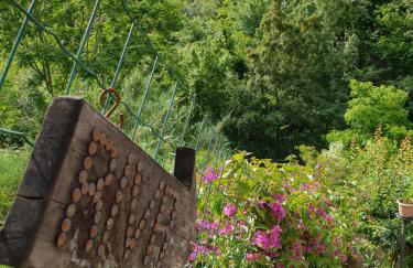 Collina e mare - Foto 9