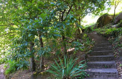 Apartamento Javali - Casas Barca do Rio by Gerês Casas - Foto 15