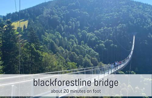 Fewo Waldgeflüster Urlaub im Wanderparadies mit Sauna im Haus Panoramabalkon - Foto 34