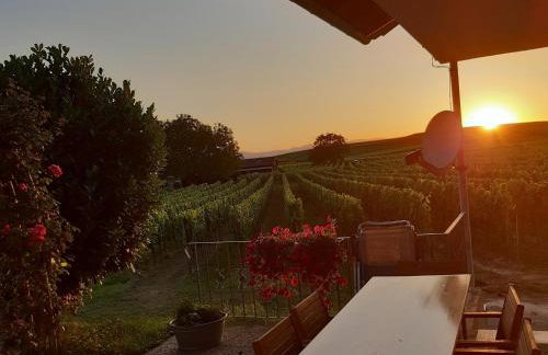 Winzerhof Henkenberg - Foto 6