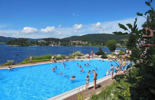 Abnoba Mons Design Apartment Lenzkirch - Photo 5