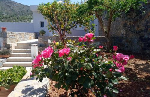 Kavousanos Apartments - Foto 41