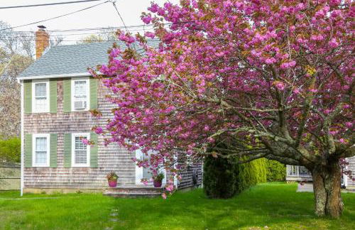 Island Sanctuary - Foto 1