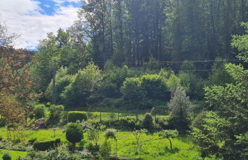 birds-nest Ferienwohnung Waldblick Kamin - Foto 7