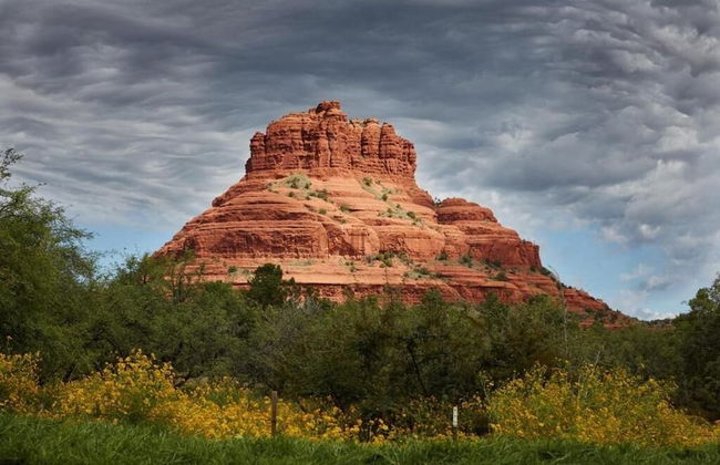 Cozy Cactus Resort ...sorta kinda - Photo 55