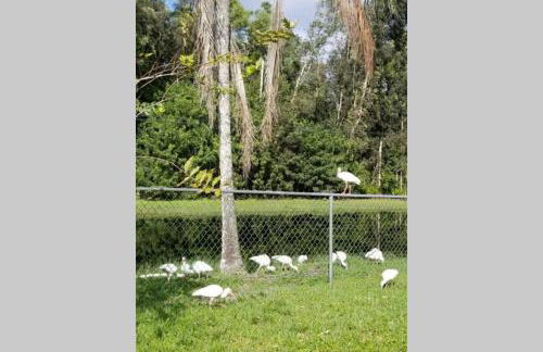 Bonita Oasis - Foto 17