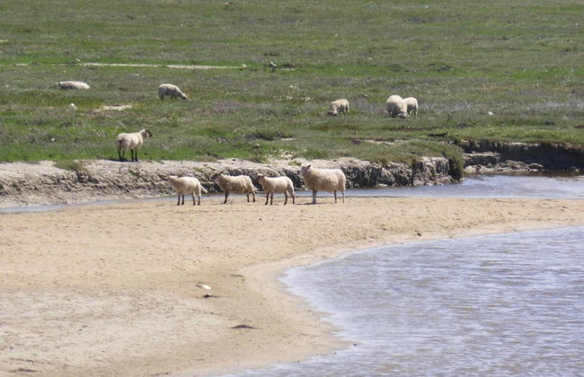 Holiday Home in St.martin-de-brehal - Foto 22