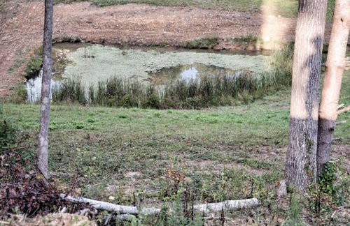 Sleeps 5-6 Near RRG-Hot Tub-Nice Sunrise-Quiet - Foto 75