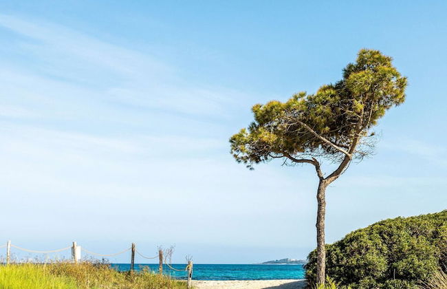 TUI BLUE Budoni - Foto 59