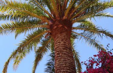 Las Casas de la Rueda - La Casita - Foto 31