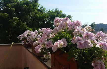 Agriturismo Miralduolo - Foto 74