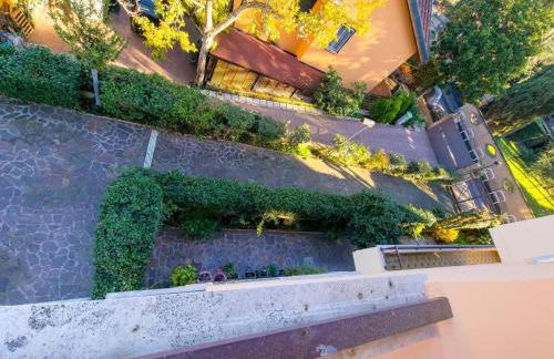 Pictadomus-viridis - Foto 22