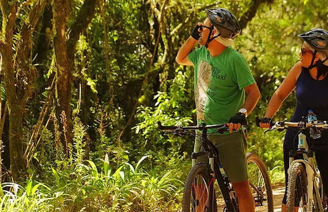 Tour di Monte Verde in bicicletta - Foto 3