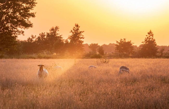 Wellness Lodge in Dutch Meadows With Hot Tub - Photo 39