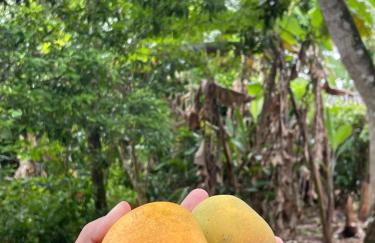 Sítio na Serra de Mulungu - Foto 20