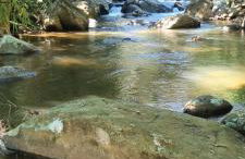 Vivendas Canaã - Foto 14