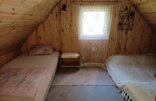 Wilga - urokliwy dom z bala (50 km od Warszawy) - Foto 14